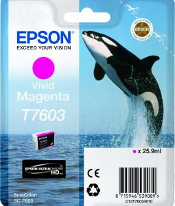 C13T76034010 - EPSON Inkt Cartridge T7603 Magenta 25,9ml