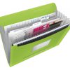 624019 - LEITZ/ESSELTE Projectmap Vivida 80gr Groen