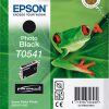 C13T05414010 - EPSON T0541 Photo Black 13ml