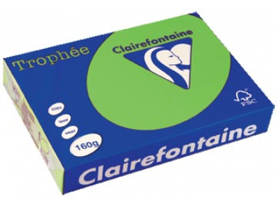 1025 - Clairfontaine Kopieerpapier A4 160g/m² Groen 250vel