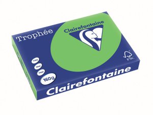 1035 - Clairfontaine Kopieerpapier A3 160g/m² Groen 250vel