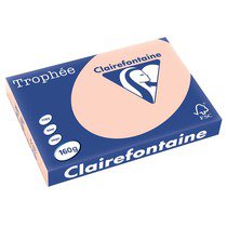 1111 - Clairfontaine Kopieerpapier A3 160g/m² Roze 250vel