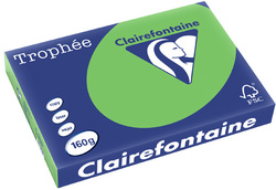 1119 - Clairfontaine Kopieerpapier A3 160g/m² Groen 250vel