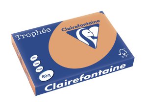 1254 - Clairfontaine Kopieerpapier A3 80g/m² Bruin 500vel