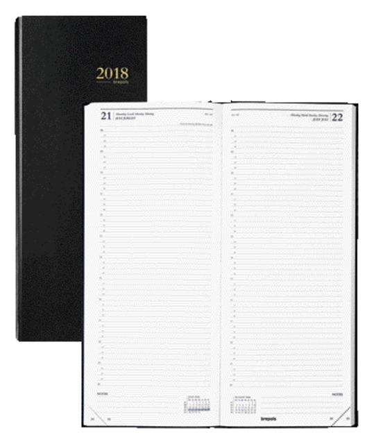 0.111.1255.01.6 - Brepols Agenda Saturnus Lang 1dag/1pag 13,5x33cm Zwart 1st