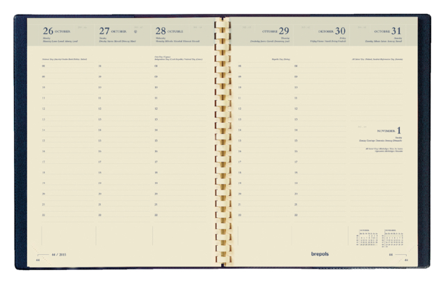 0.136.9900.00.2 - Brepols Agenda-Interieur Timing Spiraal 6-Talig 17,2x22cm 1st