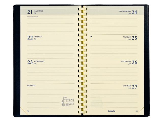 0.731.9900.00.2 - Brepols Agenda-Interieur Interplan Nl 1st