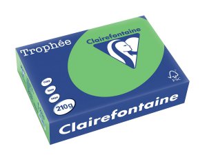 2208 - Clairfontaine Kopieerpapier A4 210g/m² Groen 250vel