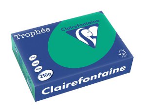 2213 - Clairfontaine Kopieerpapier A4 210g/m² Groen 250vel