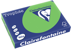 2639 - Clairfontaine Kopieerpapier A3 160g/m² Groen 250vel