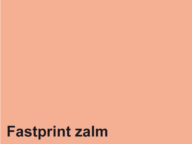 88165012 - FASTPRINT Kopieerpapier A4 120g/m² Zalm 250vel