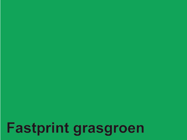 522306 - FASTPRINT Kopieerpapier A4 120g/m² Grasgroen 100vel